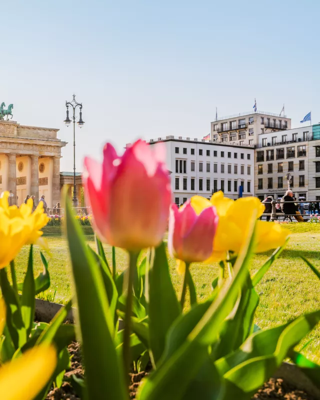 Frühling