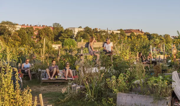 grünes Berlin